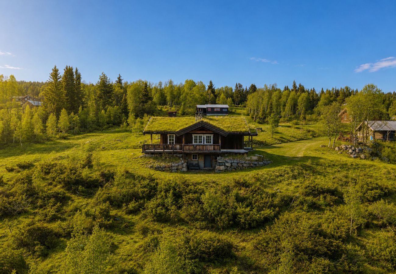 Cottage in Gol - Cosy mountain cabin in Golsfjellet