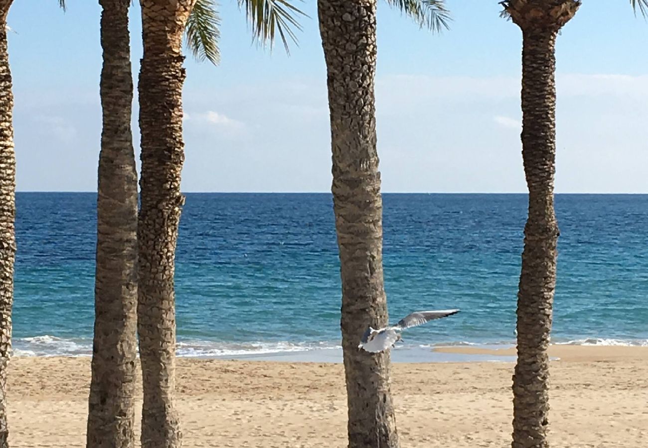 Apartment in Villajoyosa - Villajoyosa, beach front Playa Centro 