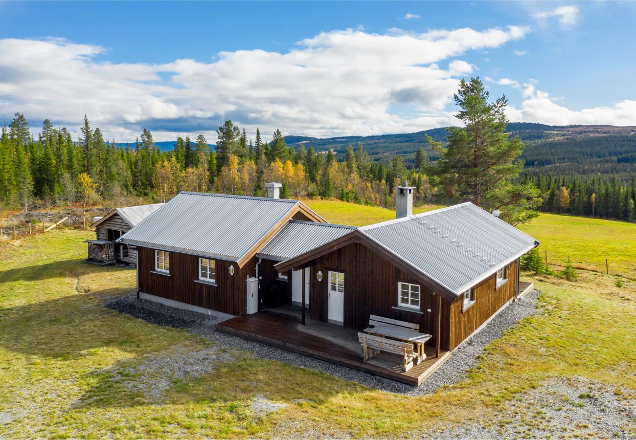 Cottage in Gol - Modern mountain cabin in Gol