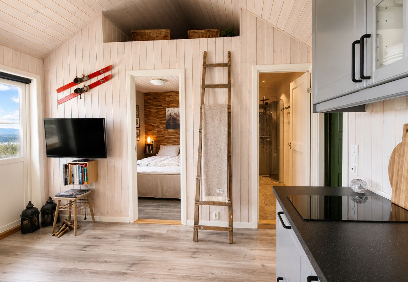 Cottage in Gol - Charming cabin with a view