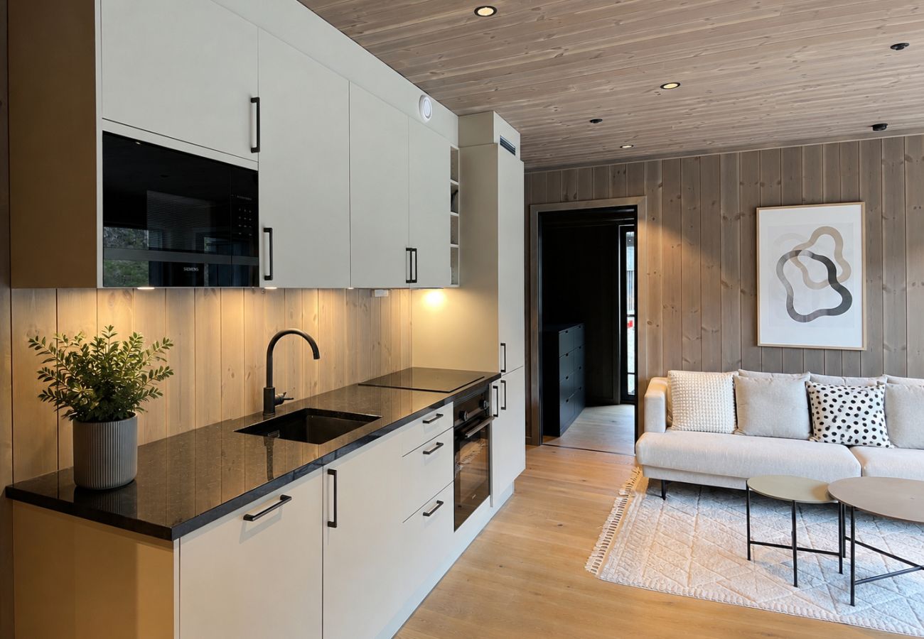 Apartment in Hemsedal - Hemsedal ski-inn-ski-out apartment