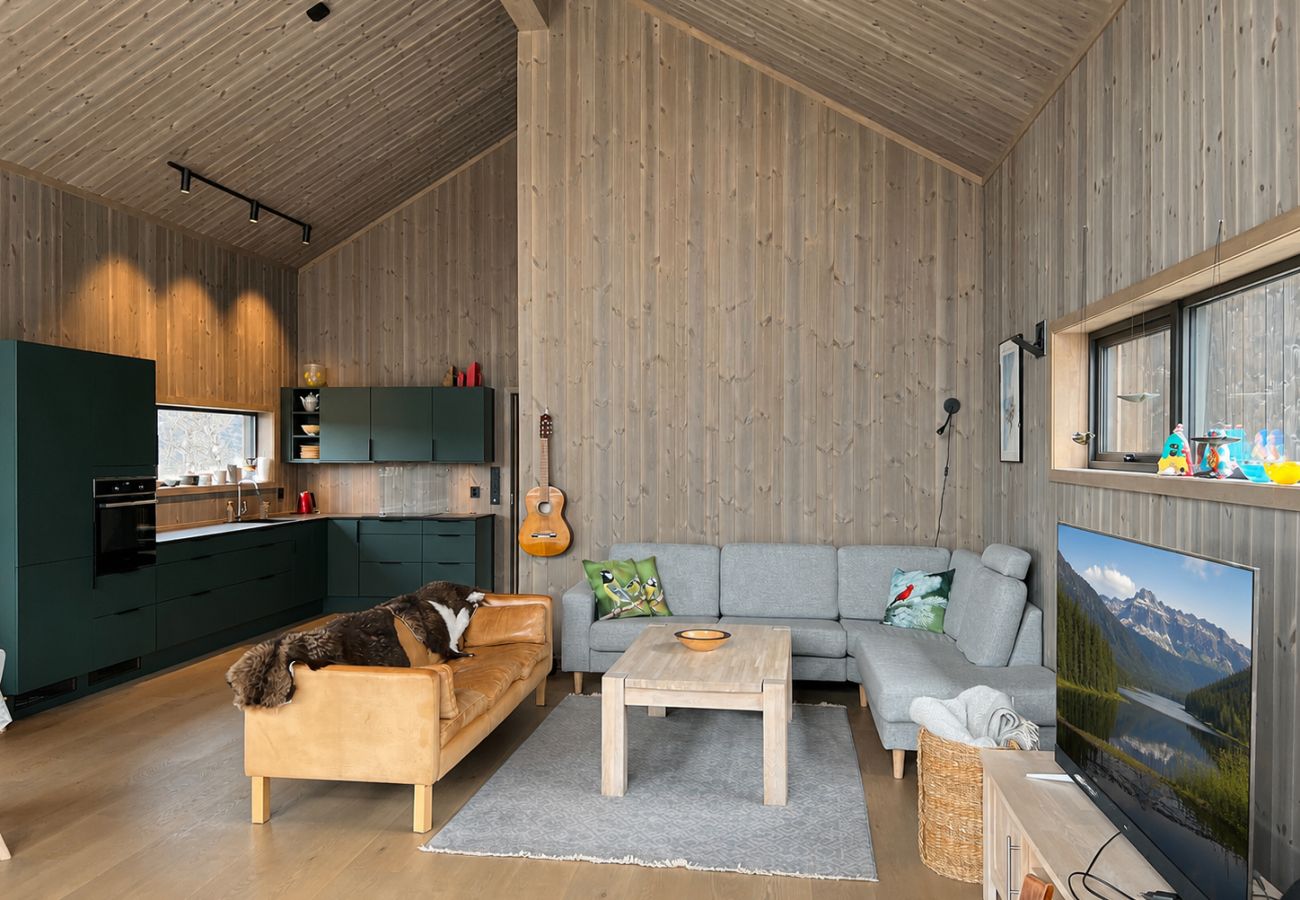 Cottage in Hol - New spacious mountain cabin with sauna, Geilo
