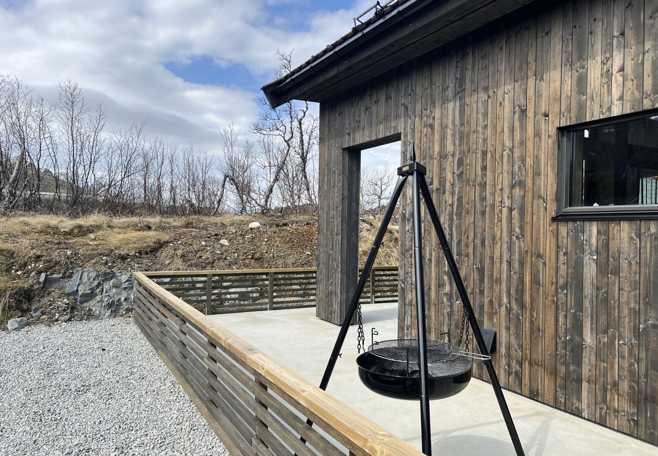 Cottage in Hol - New spacious mountain cabin with sauna, Geilo