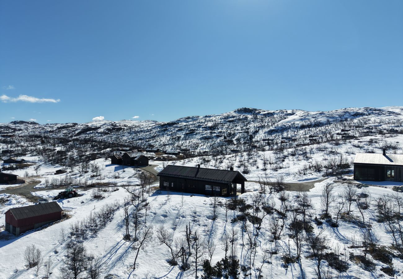 Cottage in Hol - New spacious mountain cabin with sauna, Geilo