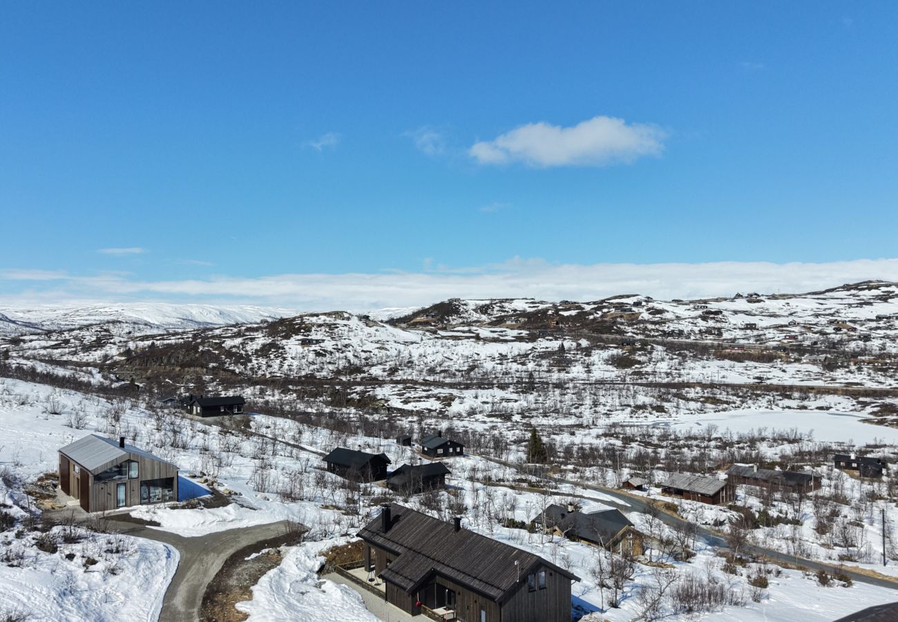 Cottage in Hol - New spacious mountain cabin with sauna, Geilo
