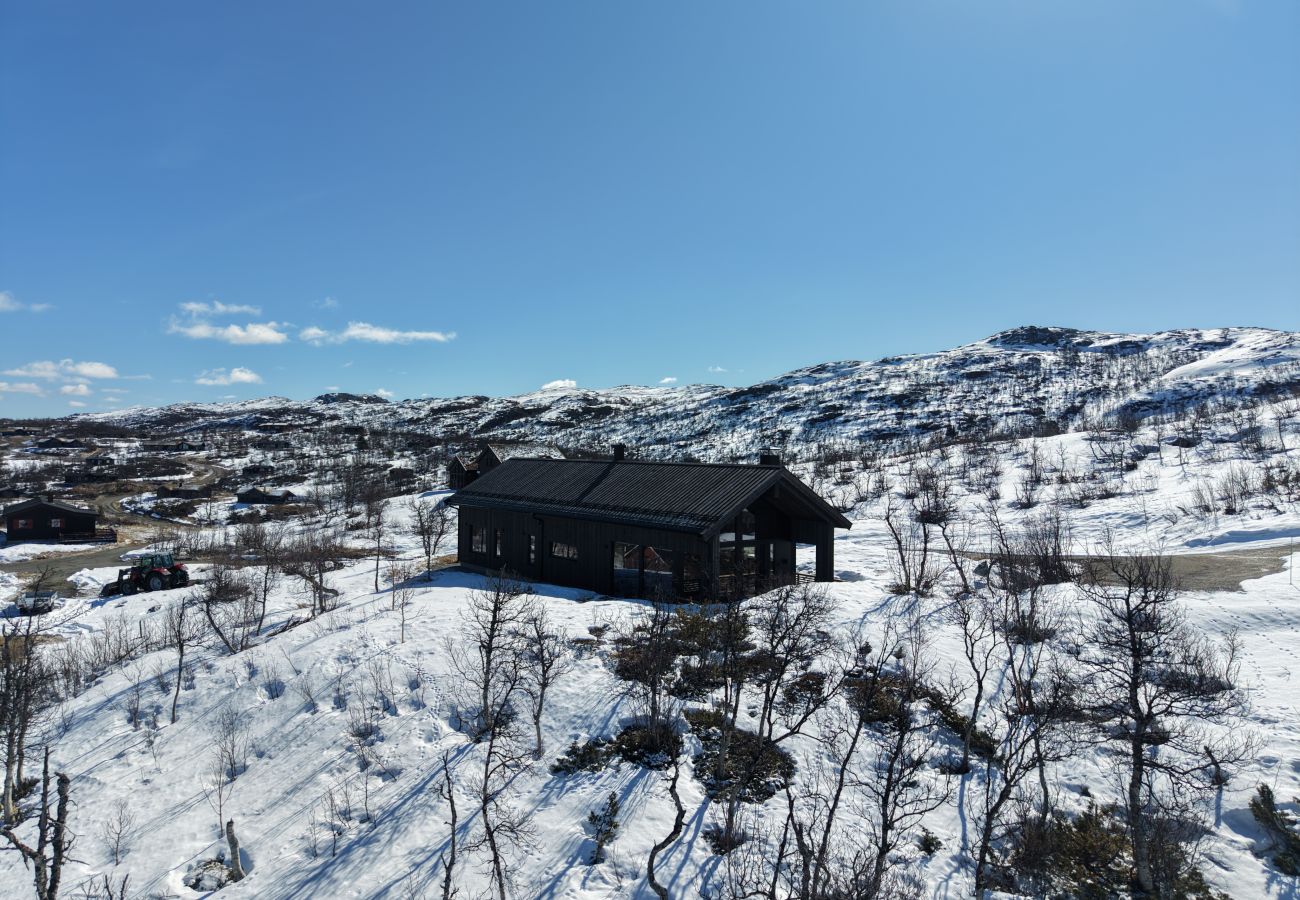 Cottage in Hol - New spacious mountain cabin with sauna, Geilo