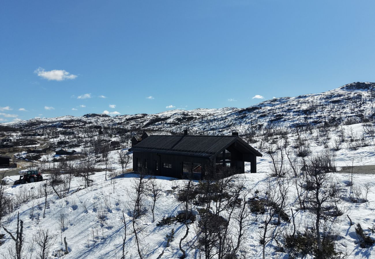 Cottage in Hol - New spacious mountain cabin with sauna, Geilo
