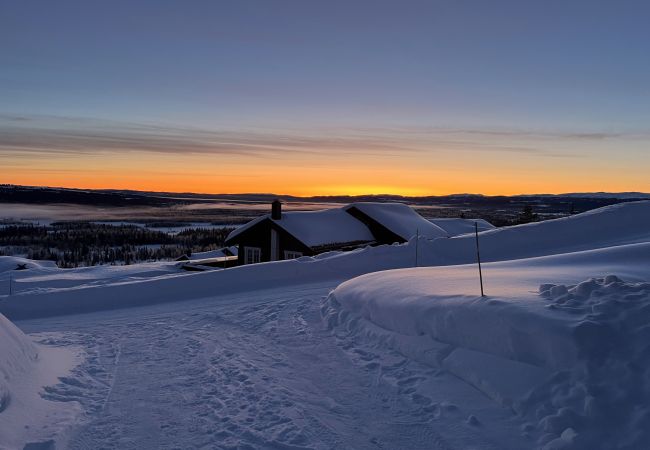 Cottage in Gol - Skicabin with access to slopes and tracks, Golsfjellet