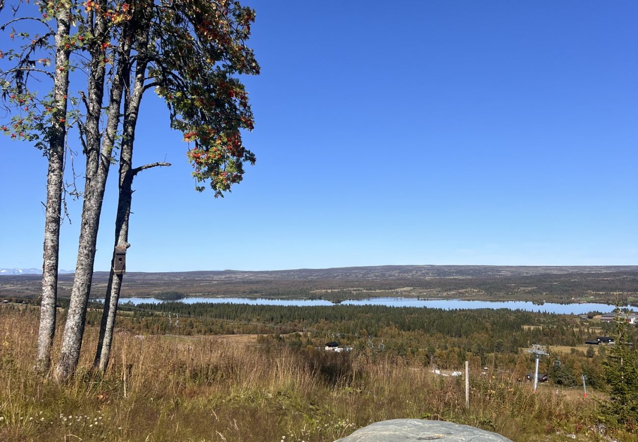 Cottage in Gol - Skicabin with access to slopes and tracks, Golsfjellet