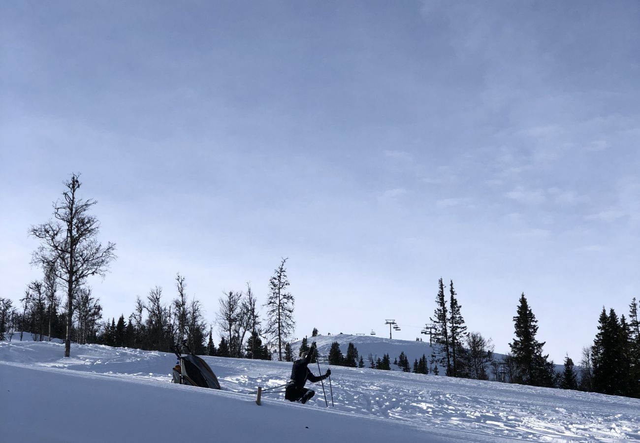 Cottage in Gol - Skicabin with access to slopes and tracks, Golsfjellet