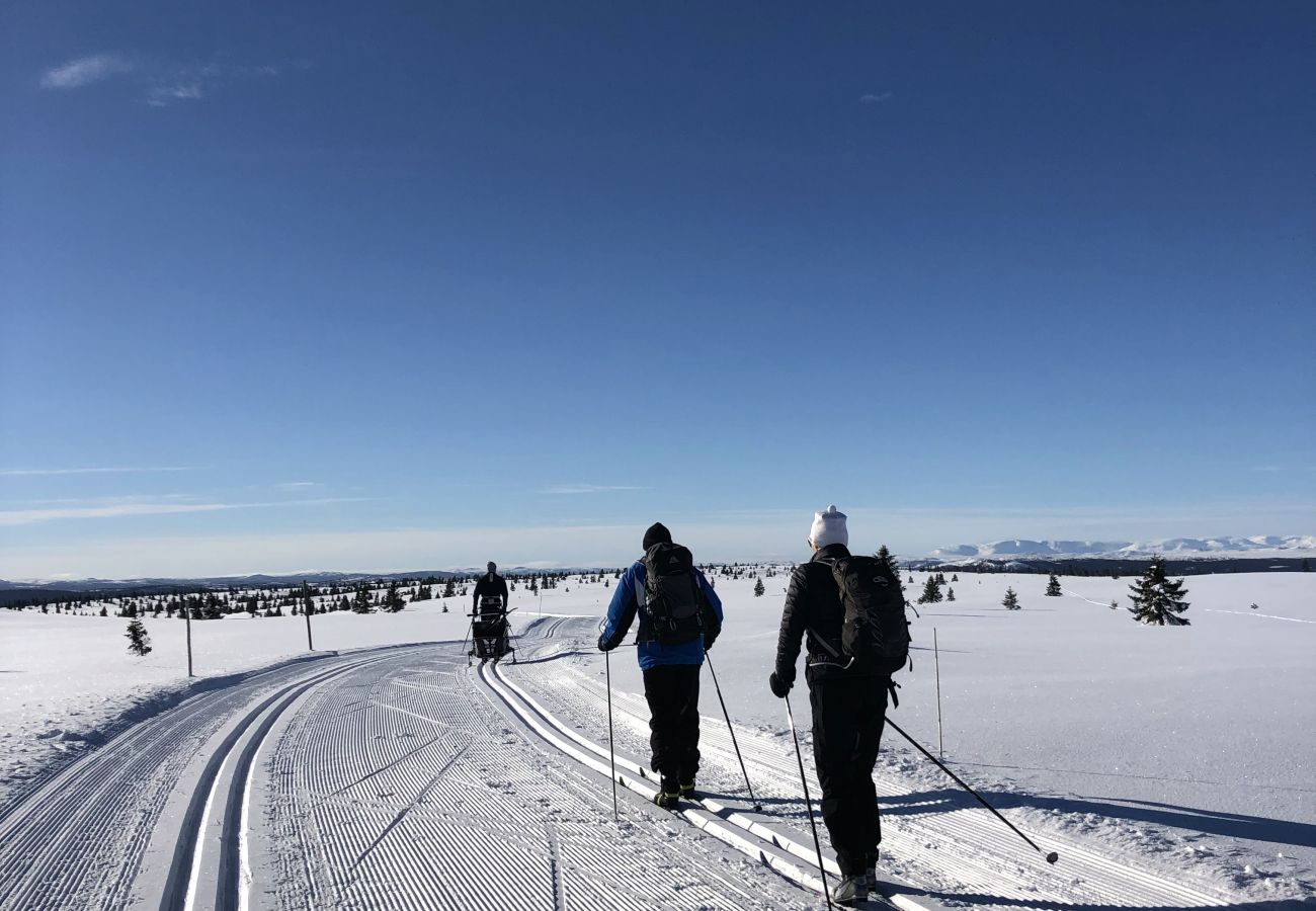 Cottage in Gol - Skicabin with access to slopes and tracks, Golsfjellet