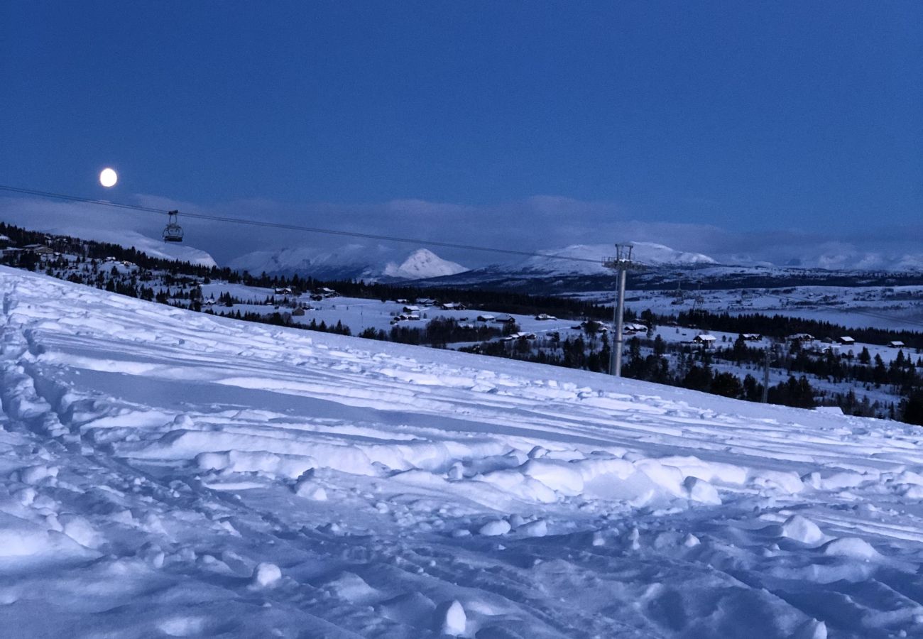 Cottage in Gol - Skicabin with access to slopes and tracks, Golsfjellet