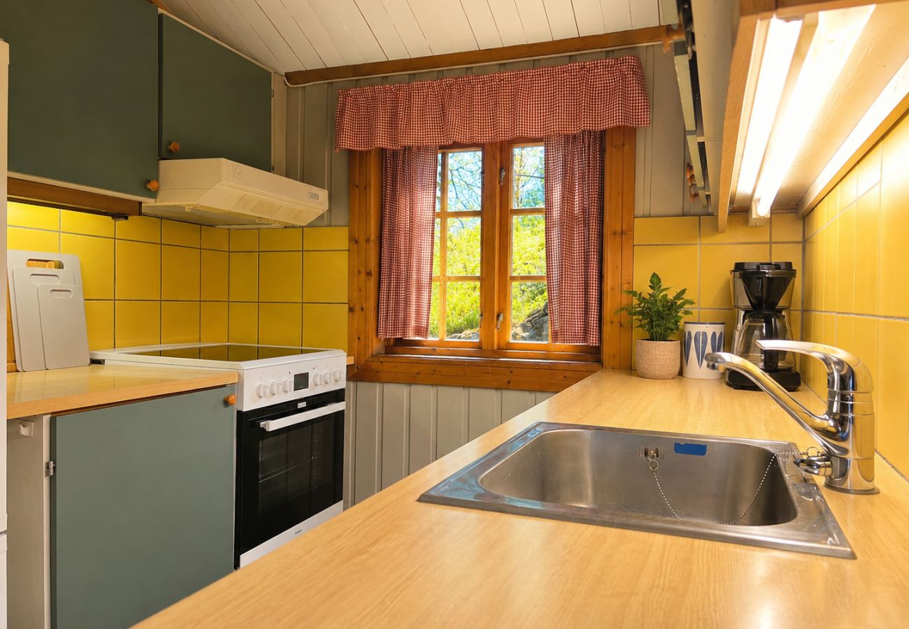 Cottage in Ål - Mountain cabin 4 in Ål with sauna