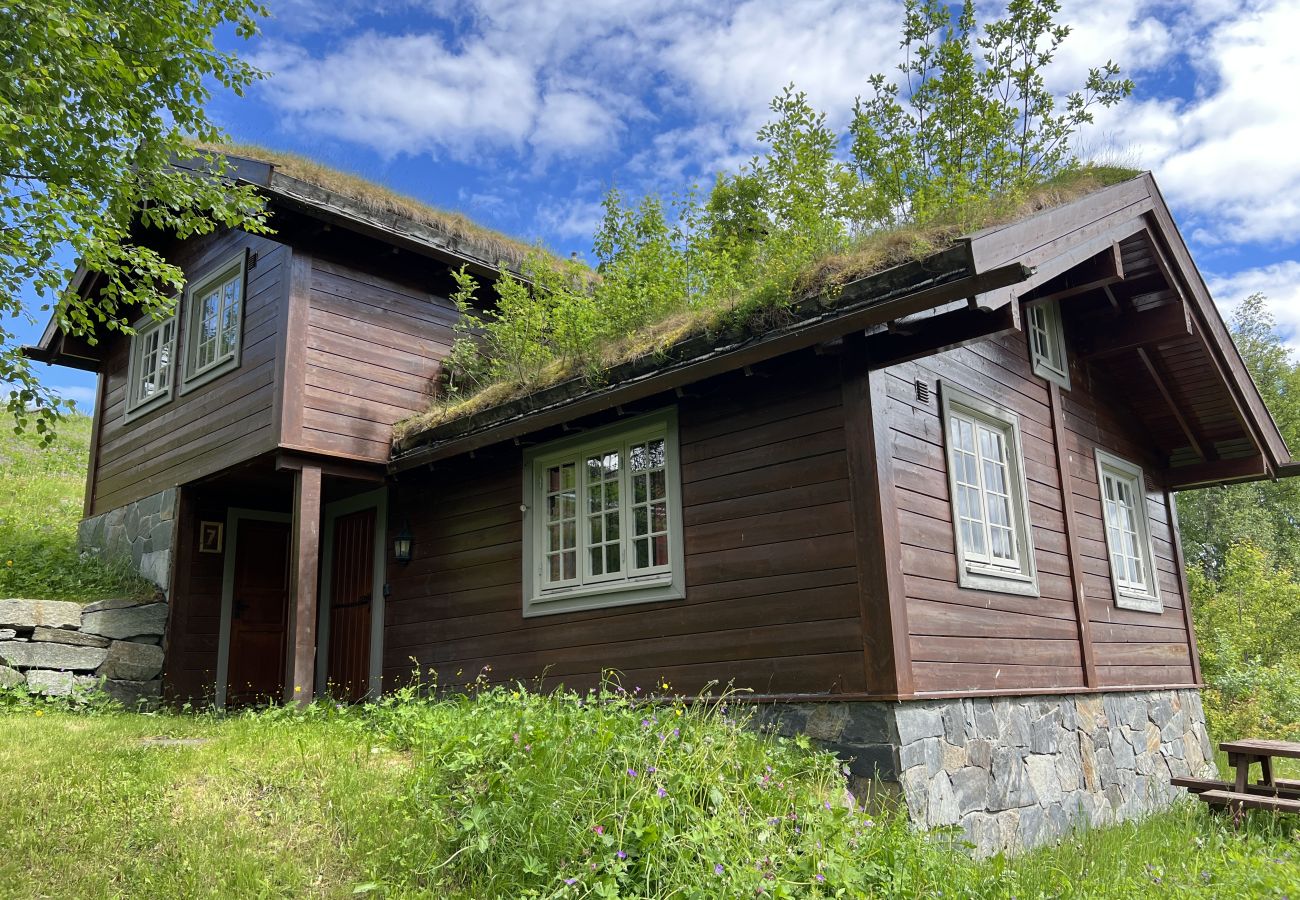 Cottage in Ål - Mountain cabin 7 in Ål with Sauna