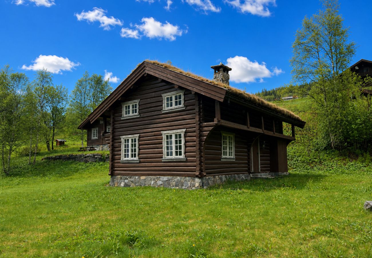 Cottage in Ål - Mountain cabin 6 in Ål with Sauna