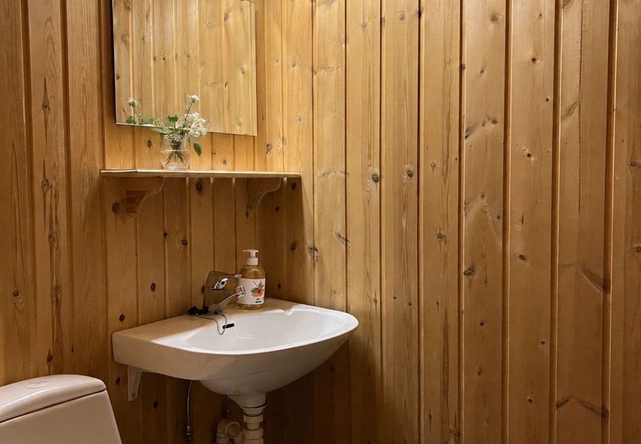 Cottage in Ål - Mountain cabin 8 in Ål with Sauna