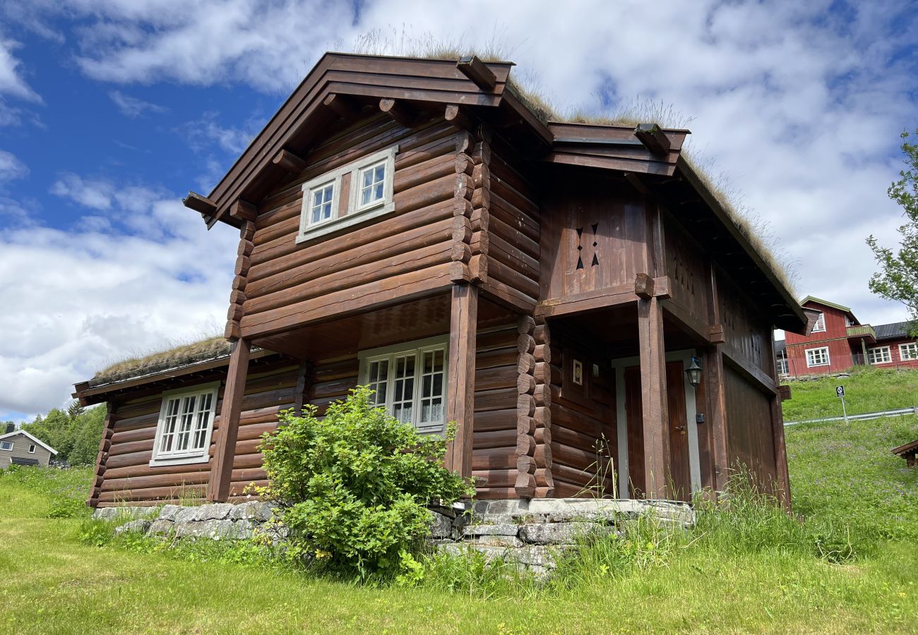 Cottage in Ål - Mountain cabin 8 in Ål with Sauna