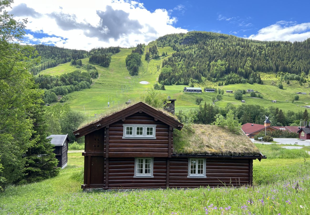 Cottage in Ål - Mountain cabin 8 in Ål with Sauna