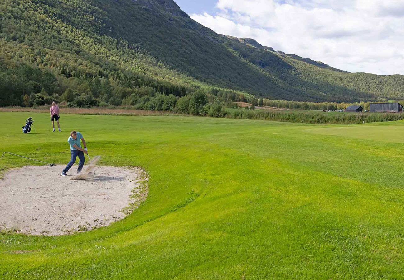 Apartment in Hemsedal - Mountain gem-  Ski in/out & panorama views