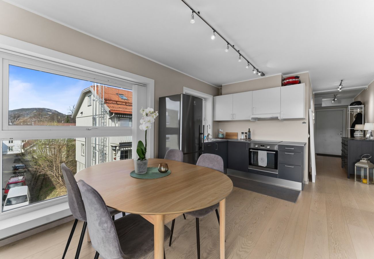 Apartment in Lillehammer -  Great location and view in Lillehammer 