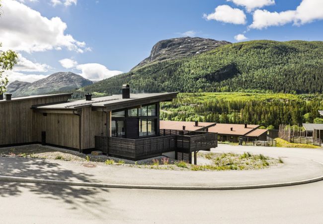 House in Hemsedal - Modern family home in Hemsedal - spectacular views!