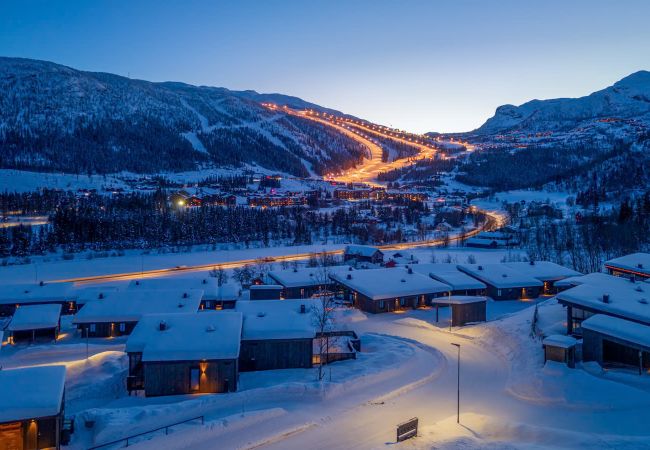 House in Hemsedal - Modern family home in Hemsedal - spectacular views!
