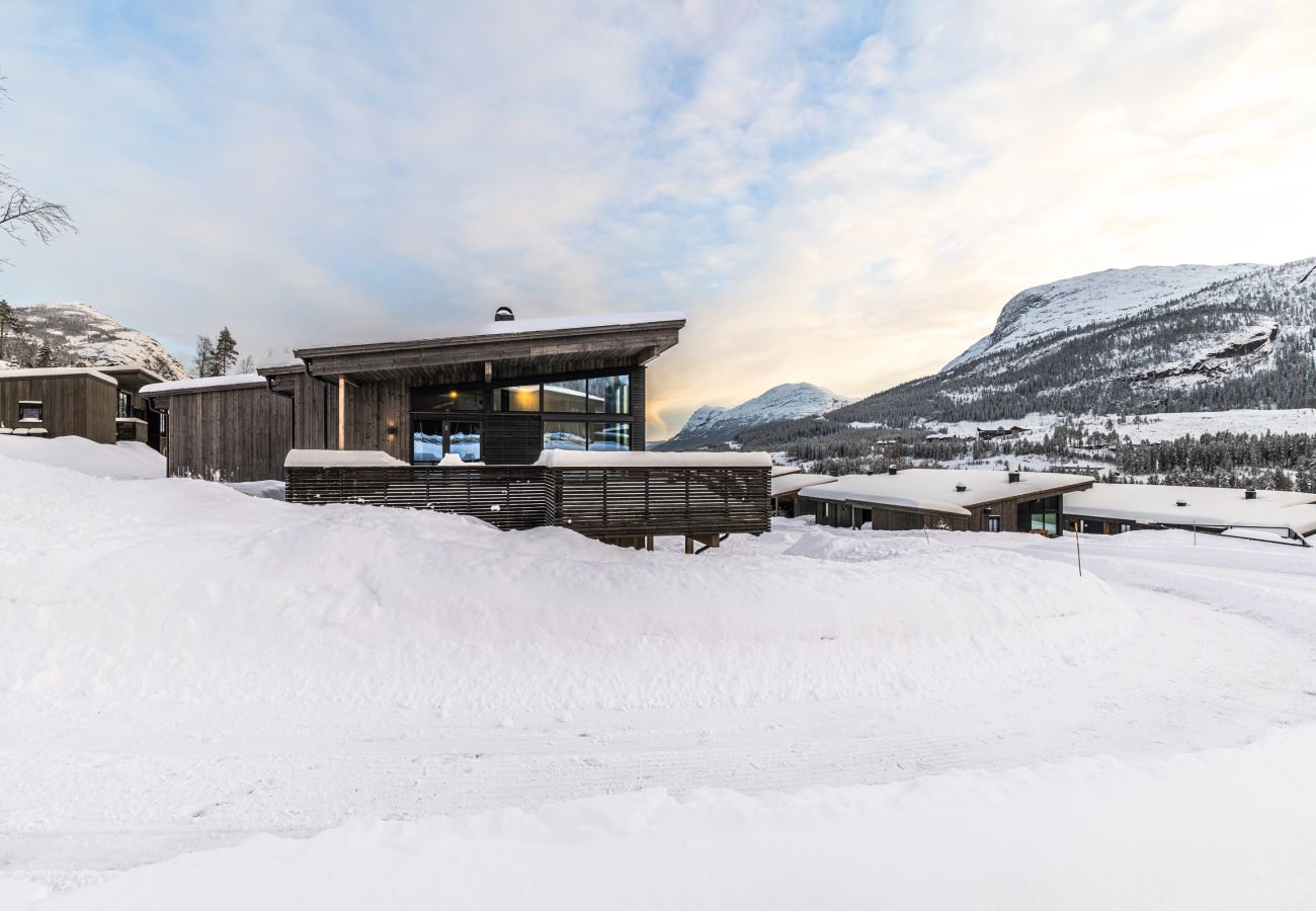 House in Hemsedal - Modern family home in Hemsedal - spectacular views!
