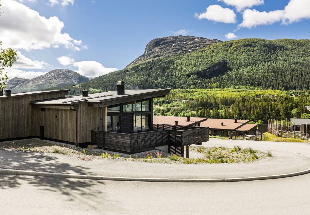 House in Hemsedal - Modern family home in Hemsedal - spectacular views!