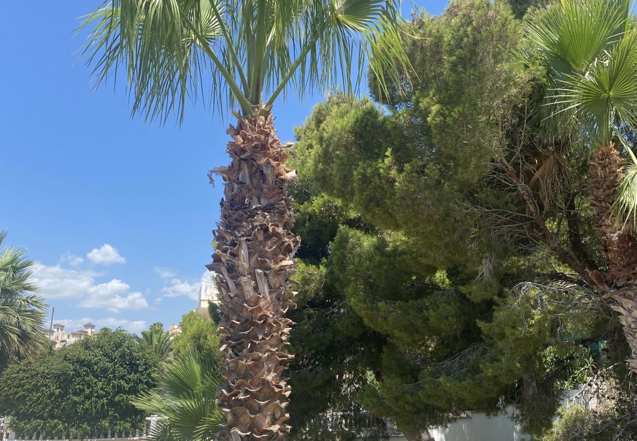 House in Orihuela Costa - Villamartin/LaZenia, Spacious house in a quiet neighborhood