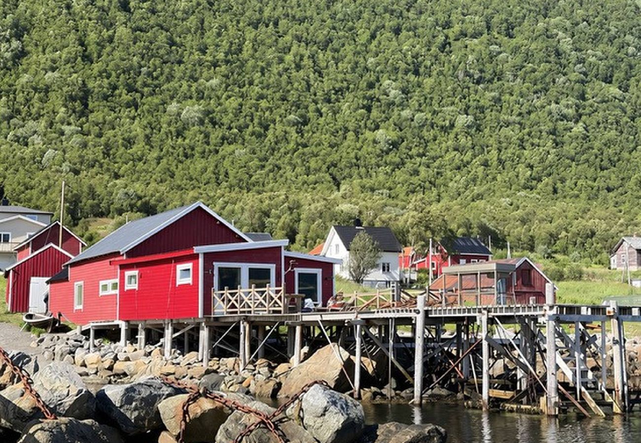 House in Senja - Horizon on the Pier Senja