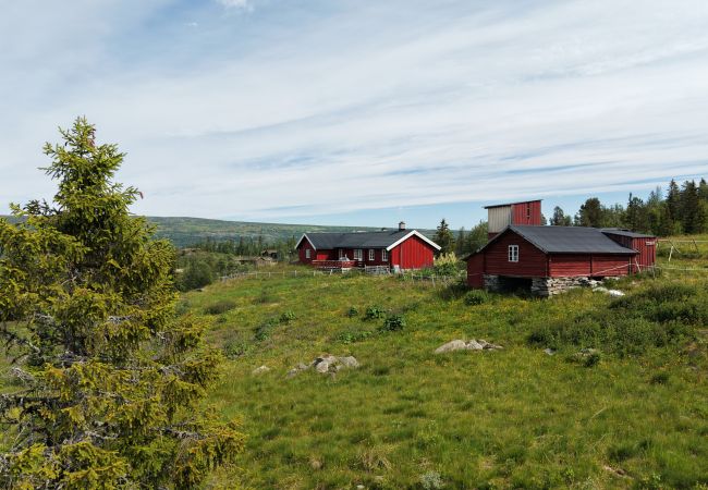 Cottage in Hemsedal - Secluded Cabin in Hemsedal with Sauna