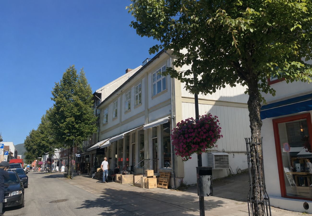 Apartment in Lillehammer - Charming Apartment for 4 in the Heart of Lillehammer
