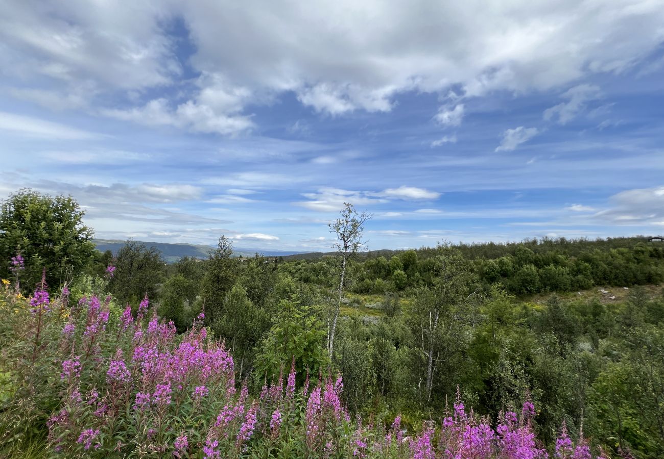 Cottage in Hol - Modern and Homey Apartment near slopes in Kikut, Geilo