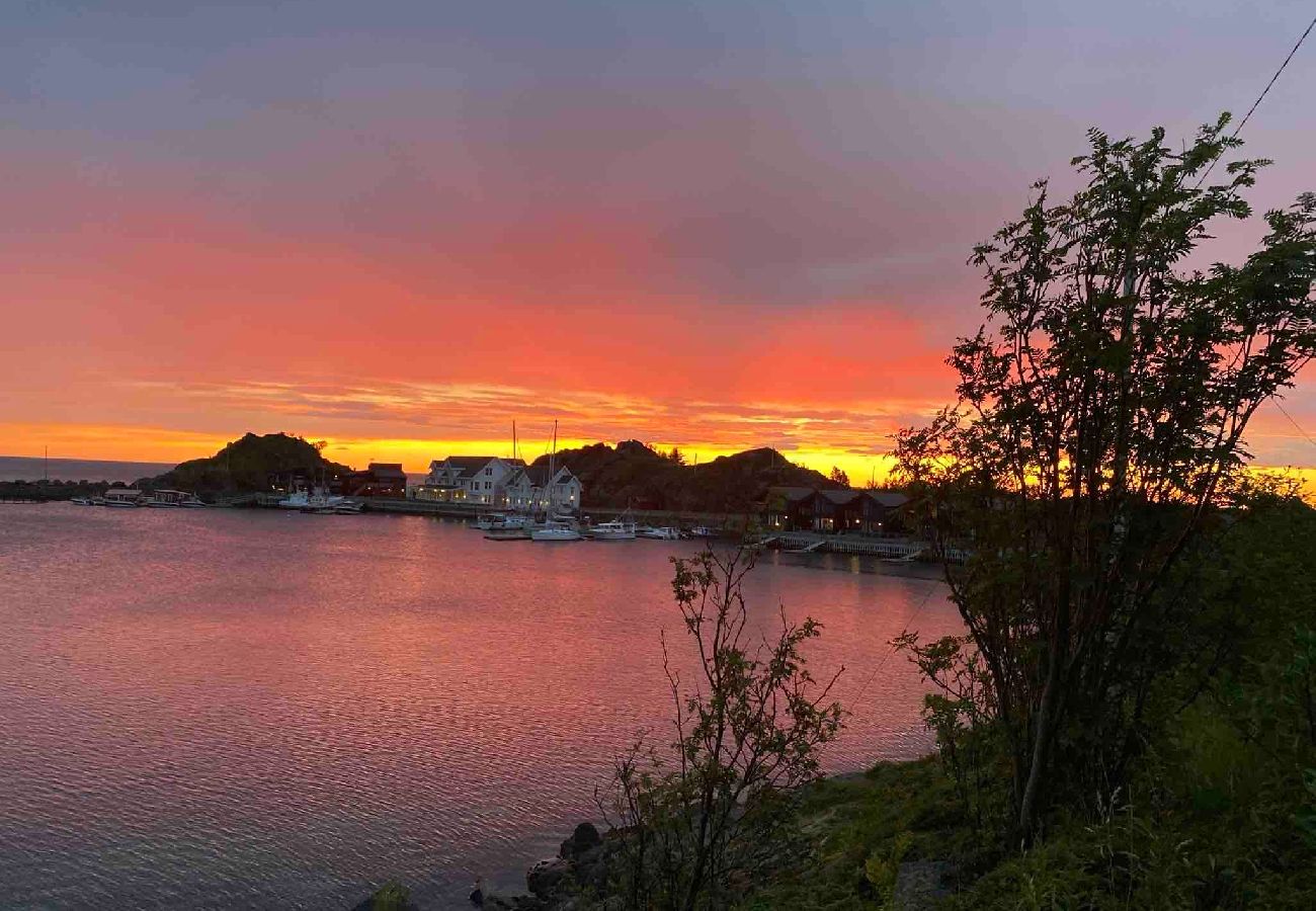 Cottage in Senja - Senja Aurora & Midnight Sun Lodge