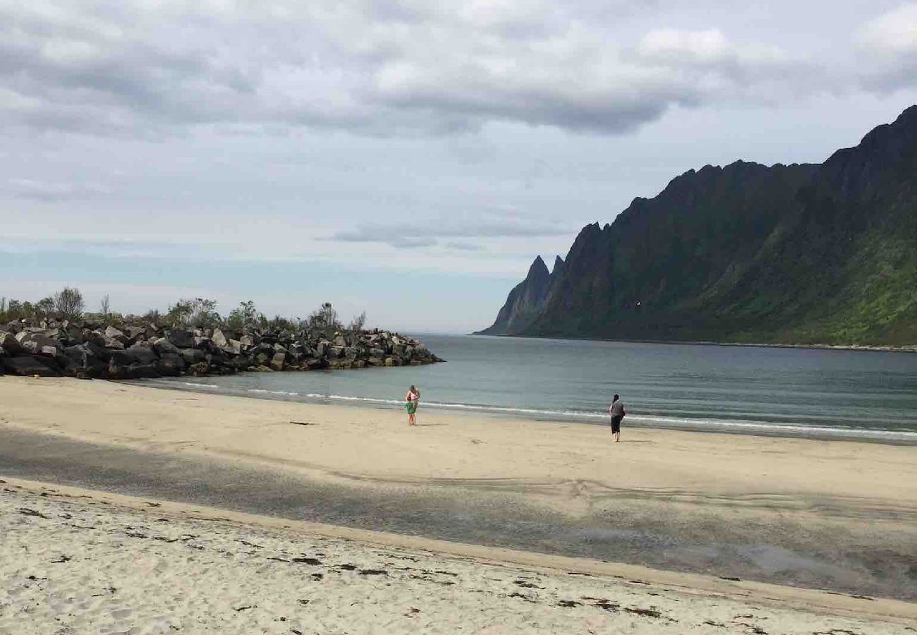 Cottage in Senja - Senja Aurora & Midnight Sun Lodge