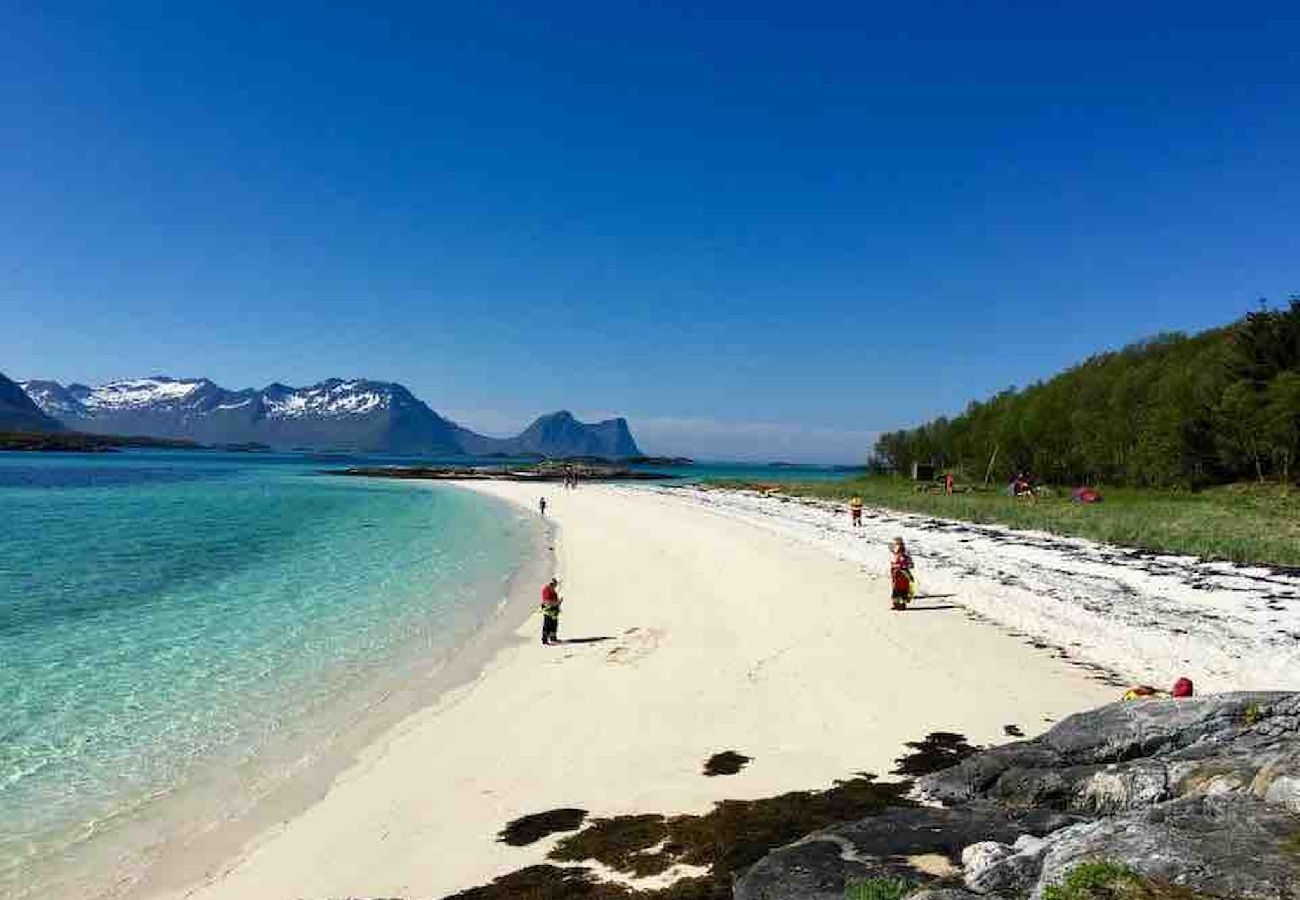 Cottage in Senja - Senja Aurora & Midnight Sun Lodge
