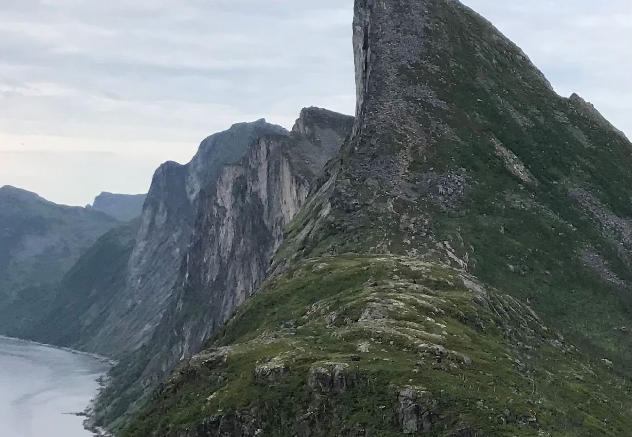 Cottage in Senja - Senja Aurora & Midnight Sun Lodge