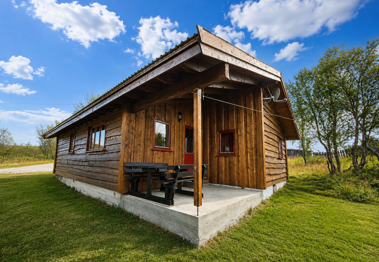 Cottage in Hol - Granbu Cabin with Ski Trails at Your Doorstep in Geilo