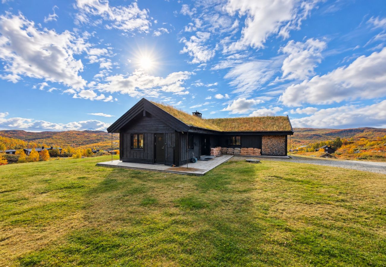 Cottage in Hol - Modern Alpine Living in Ustaoset