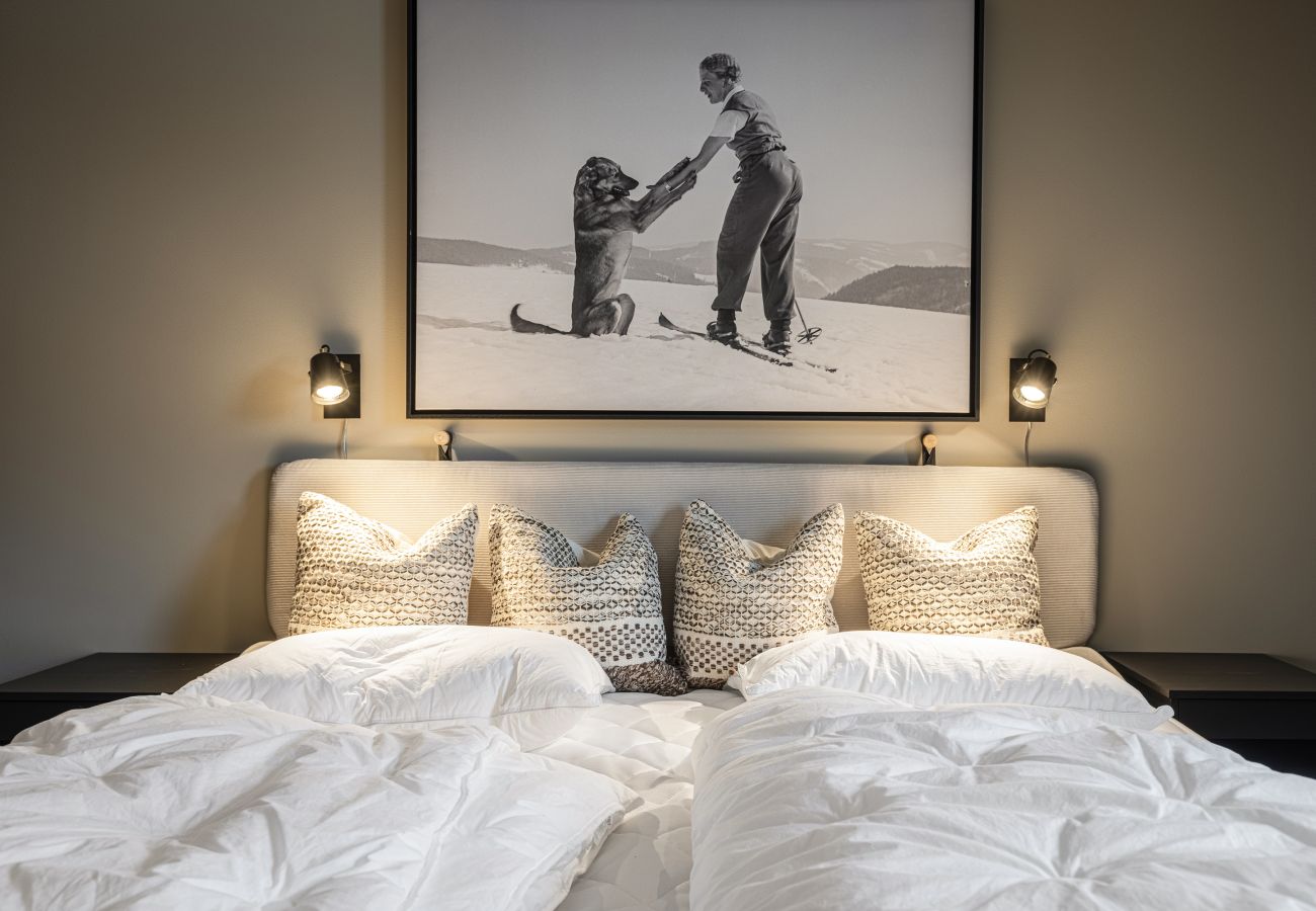 Apartment in Hemsedal - Alpelia Lodge apartment in Hemsedal