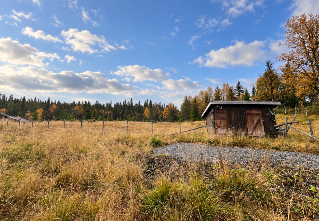 Cottage in Gol - Authentic and Charming Cabin Life in Golsfjellet