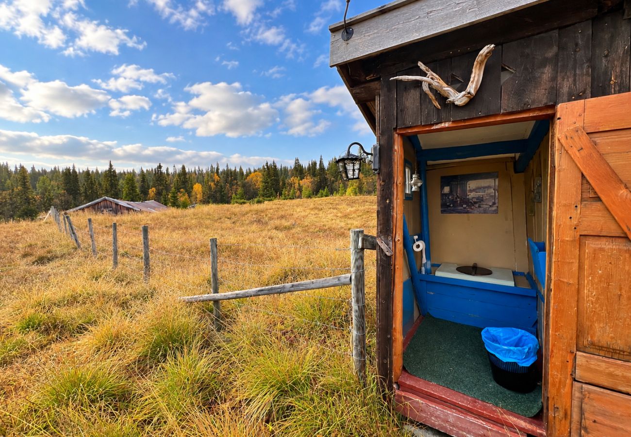 Cottage in Gol - Authentic and Charming Cabin Life in Golsfjellet