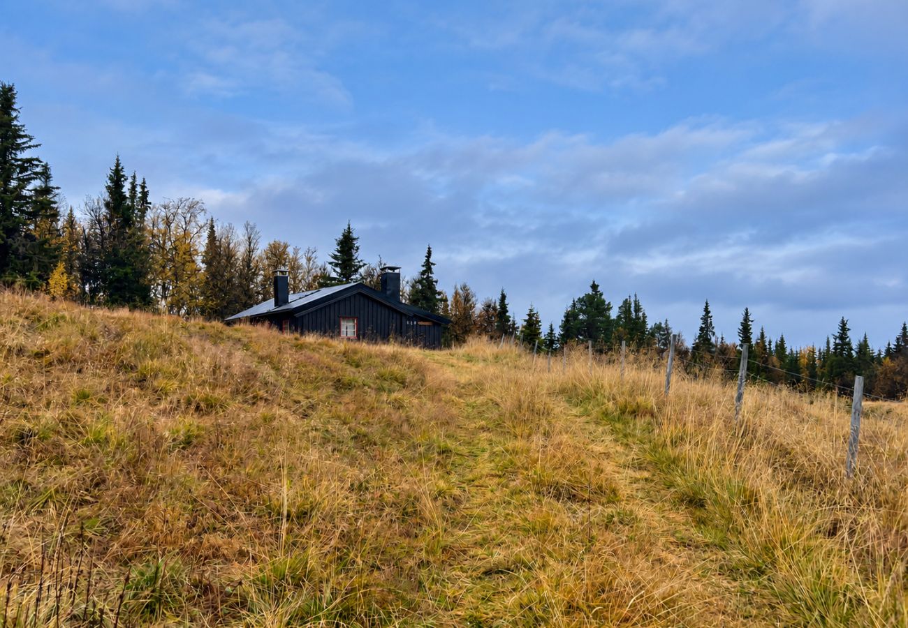 Cottage in Gol - Authentic and Charming Cabin Life in Golsfjellet