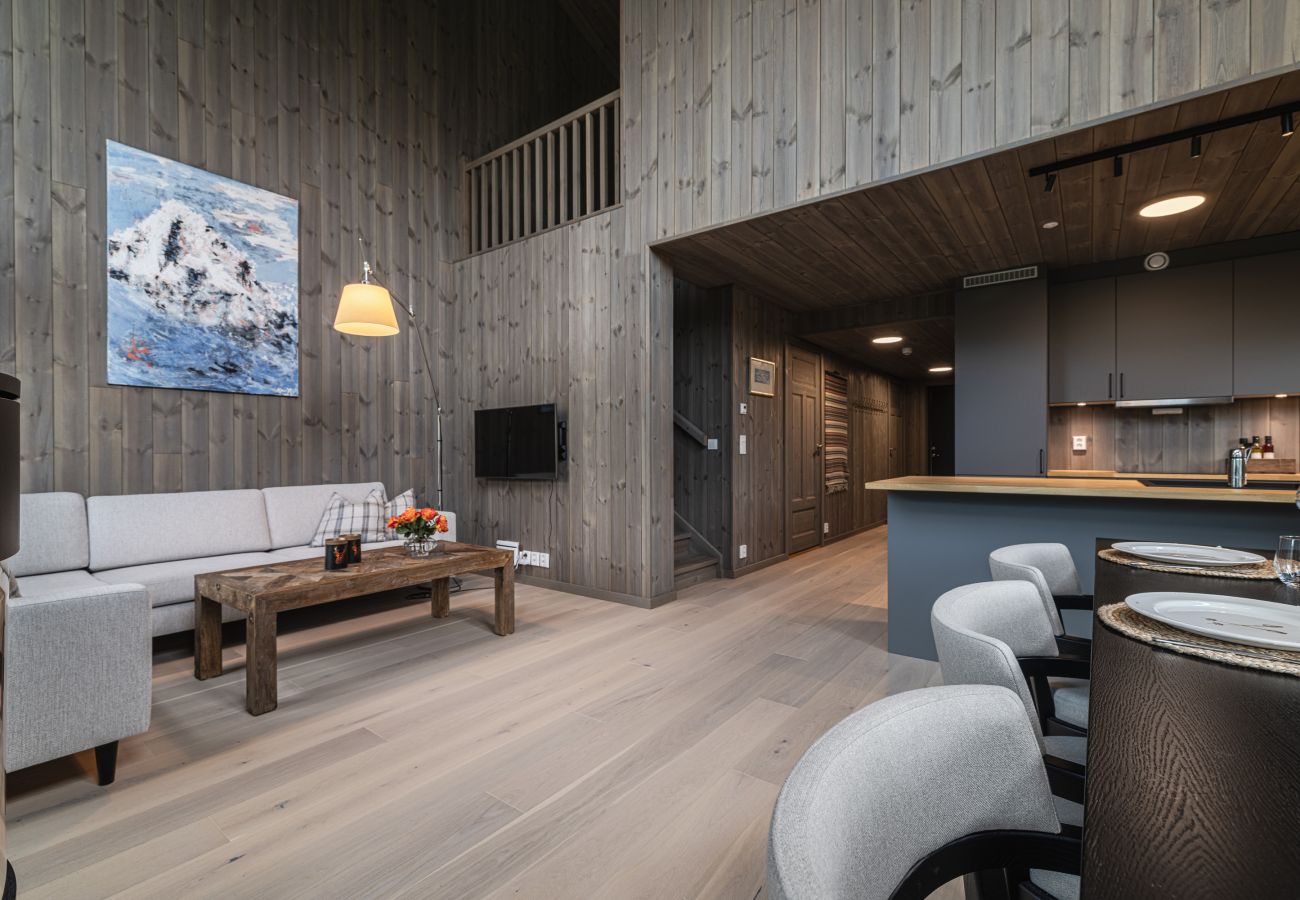 Apartment in Hemsedal - New Hemsedal ski in/ski out apartment 