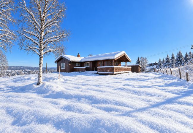 Cottage in Gol - Peaceful cabin with Sauna and ski in/ski out on Golsfjellet