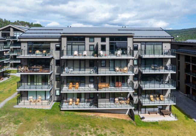 Leilighet i Hol - Ny (2023) leilighet med sentral beliggenhet. Leilighet i Hol - Ny (2023) leilighet med sentral beliggenhet.