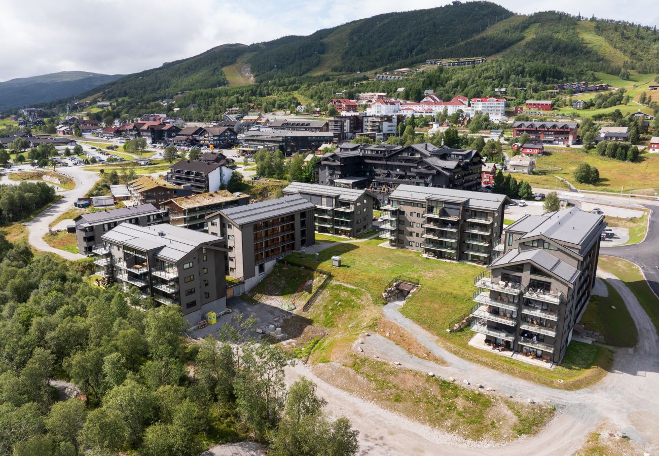 Leilighet i Hol - Ny (2023) leilighet med sentral beliggenhet.