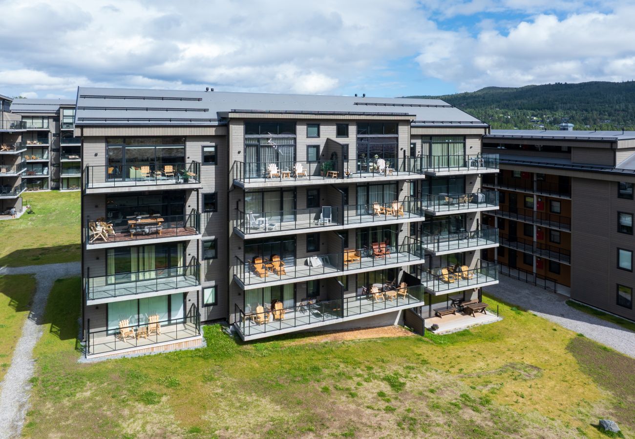 Leilighet i Hol - Ny (2023) leilighet med sentral beliggenhet.