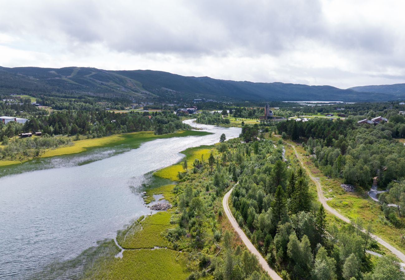 Leilighet i Hol - Ny (2023) leilighet med sentral beliggenhet.