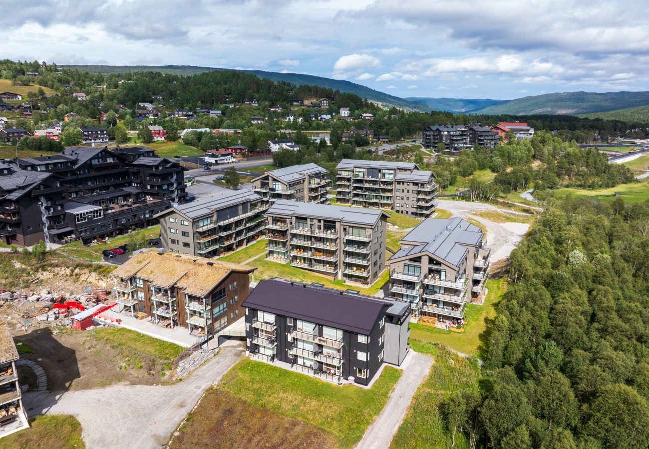 Leilighet i Hol - Ny (2023) leilighet med sentral beliggenhet.